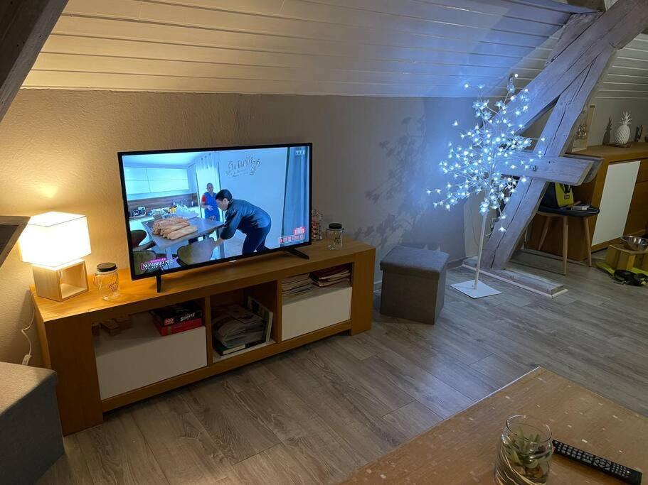 Loft Avec Jardin Apartment Corcieux Exterior photo